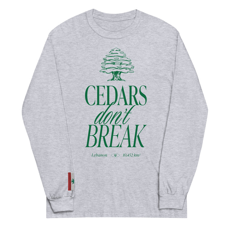 streetwear t-shirt Lebanon, Arab clothing, cedar trees, cedars don't break, support Lebanon, Lebanese clothing , Lebanese flag