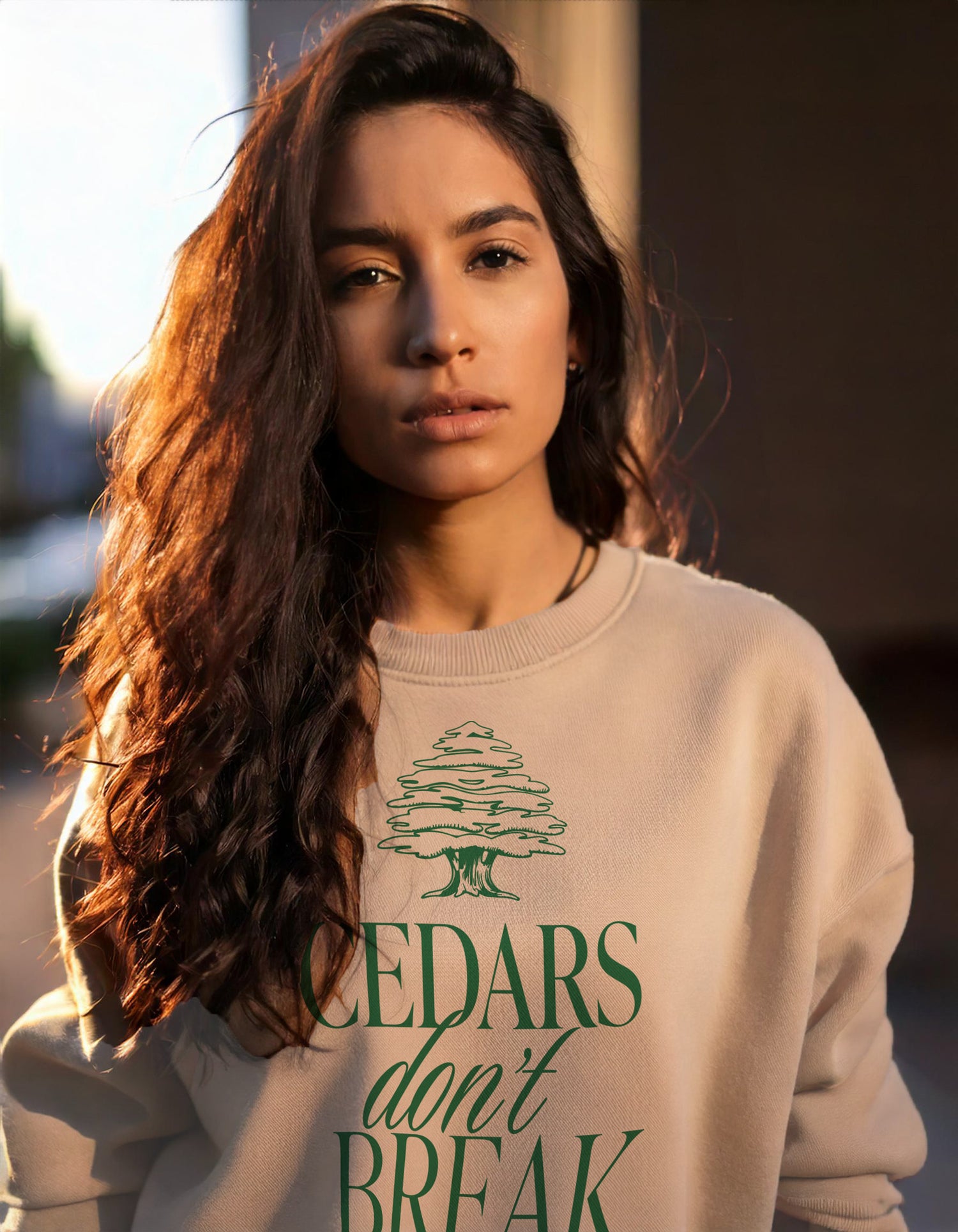 streetwear t-shirt Lebanon, Arab clothing, cedar trees, cedars don't break, support Lebanon, Lebanese clothing , sweatshirt