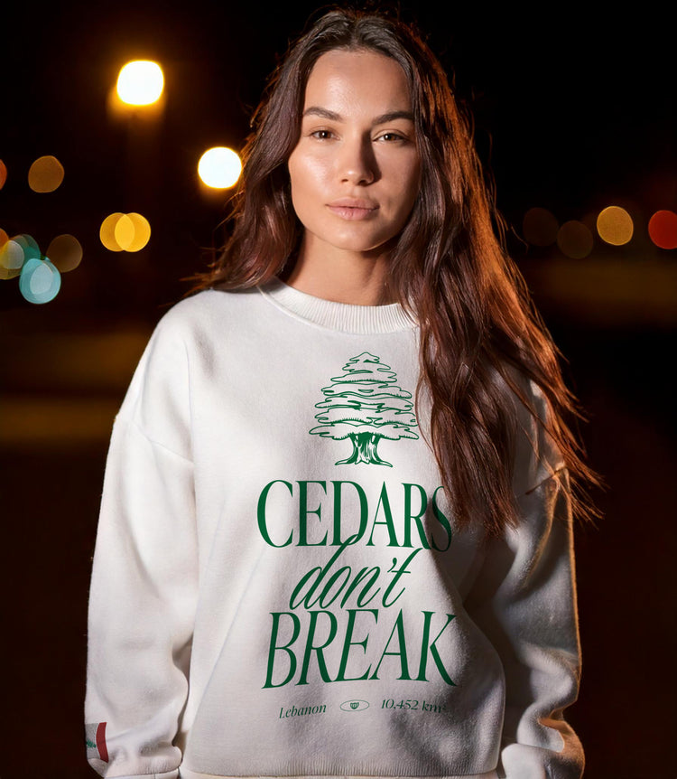 streetwear t-shirt Lebanon, Arab clothing, cedar trees, cedars don't break, support Lebanon, Lebanese clothing , sweatshirt 