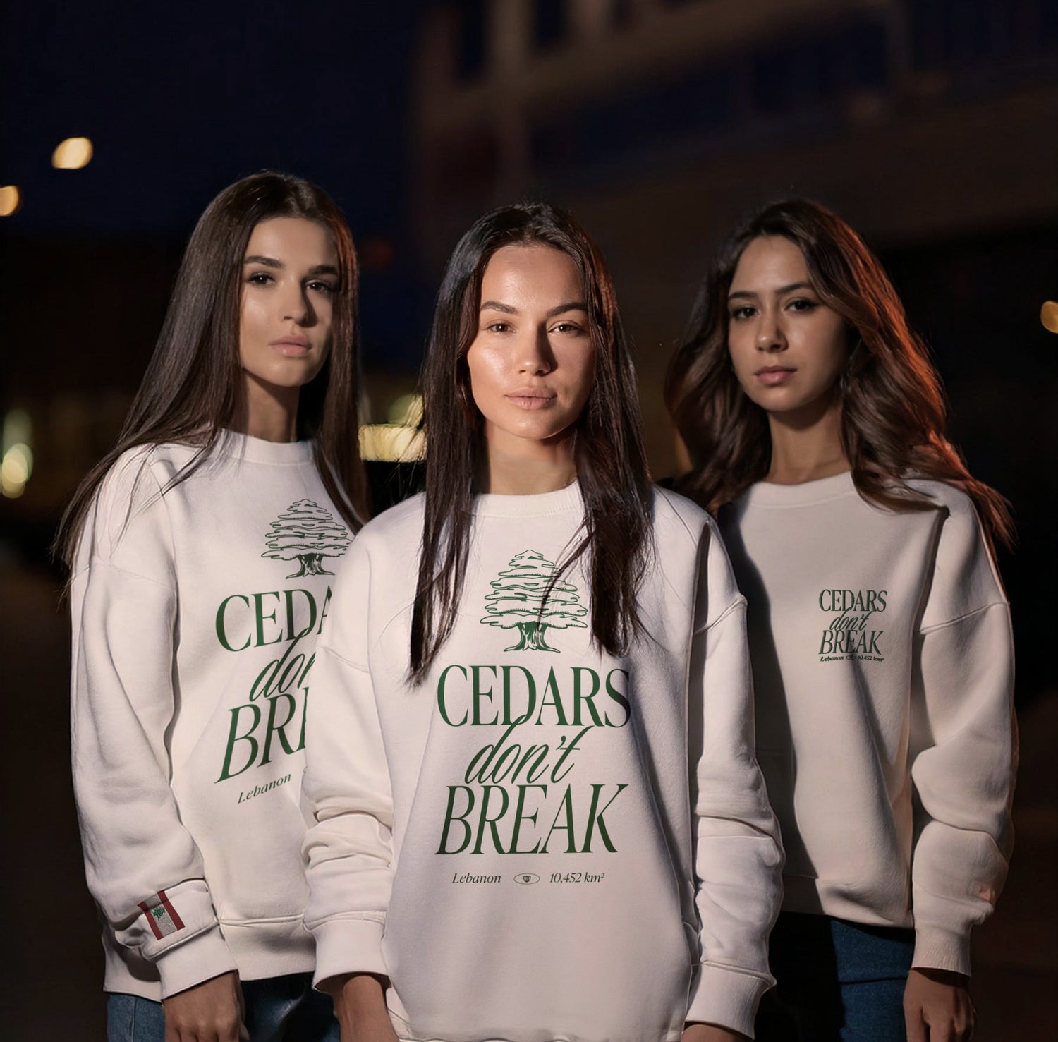 streetwear t-shirt Lebanon, Arab clothing, cedar trees, cedars don't break, support Lebanon, Lebanese clothing , sweatshirt