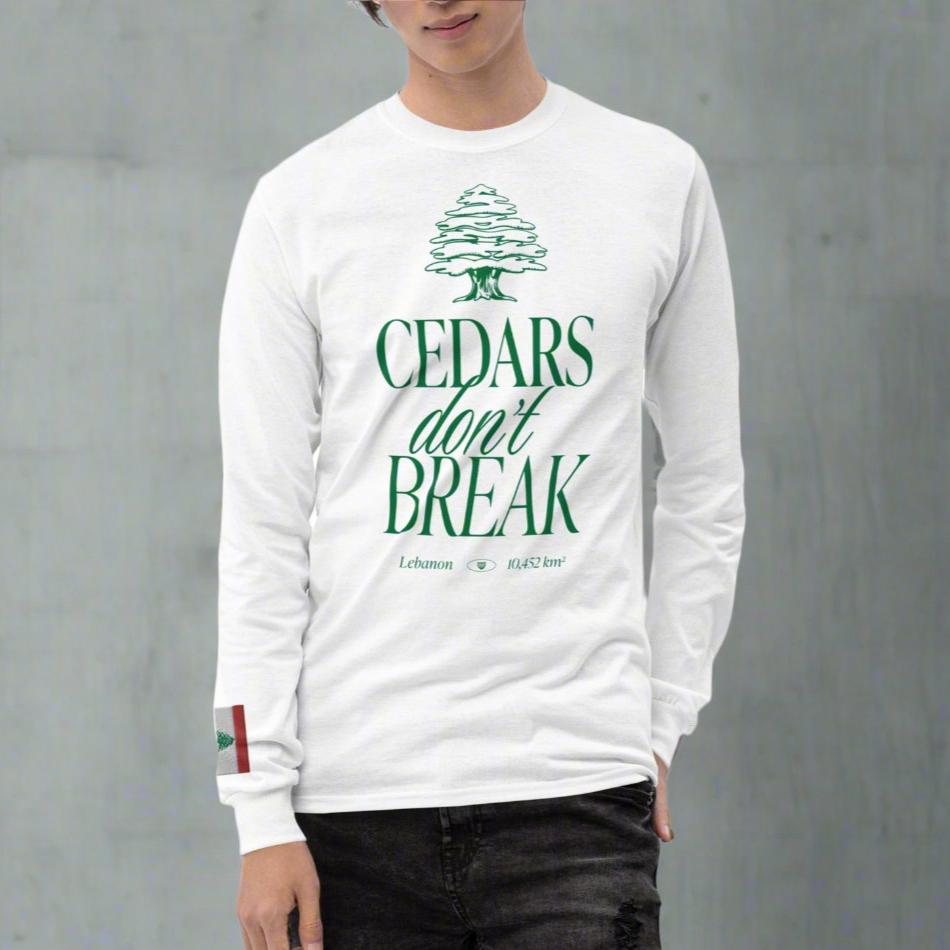 streetwear t-shirt Lebanon, Arab clothing, cedar trees, cedars don't break, support Lebanon, Lebanese clothing , Lebanese flag