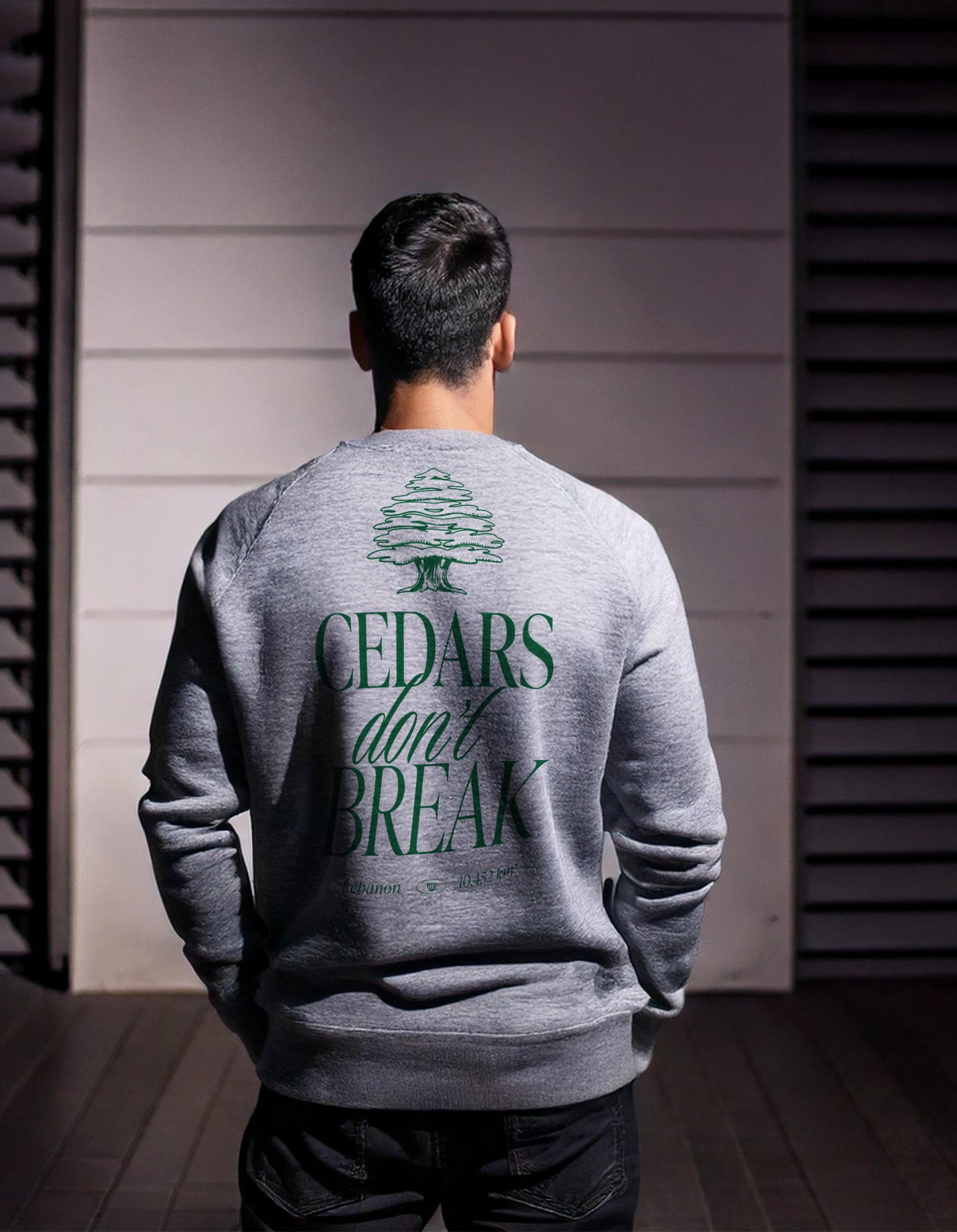 streetwear t-shirt Lebanon, Arab clothing, cedar trees, cedars don't break, support Lebanon, Lebanese clothing , sweatshirt