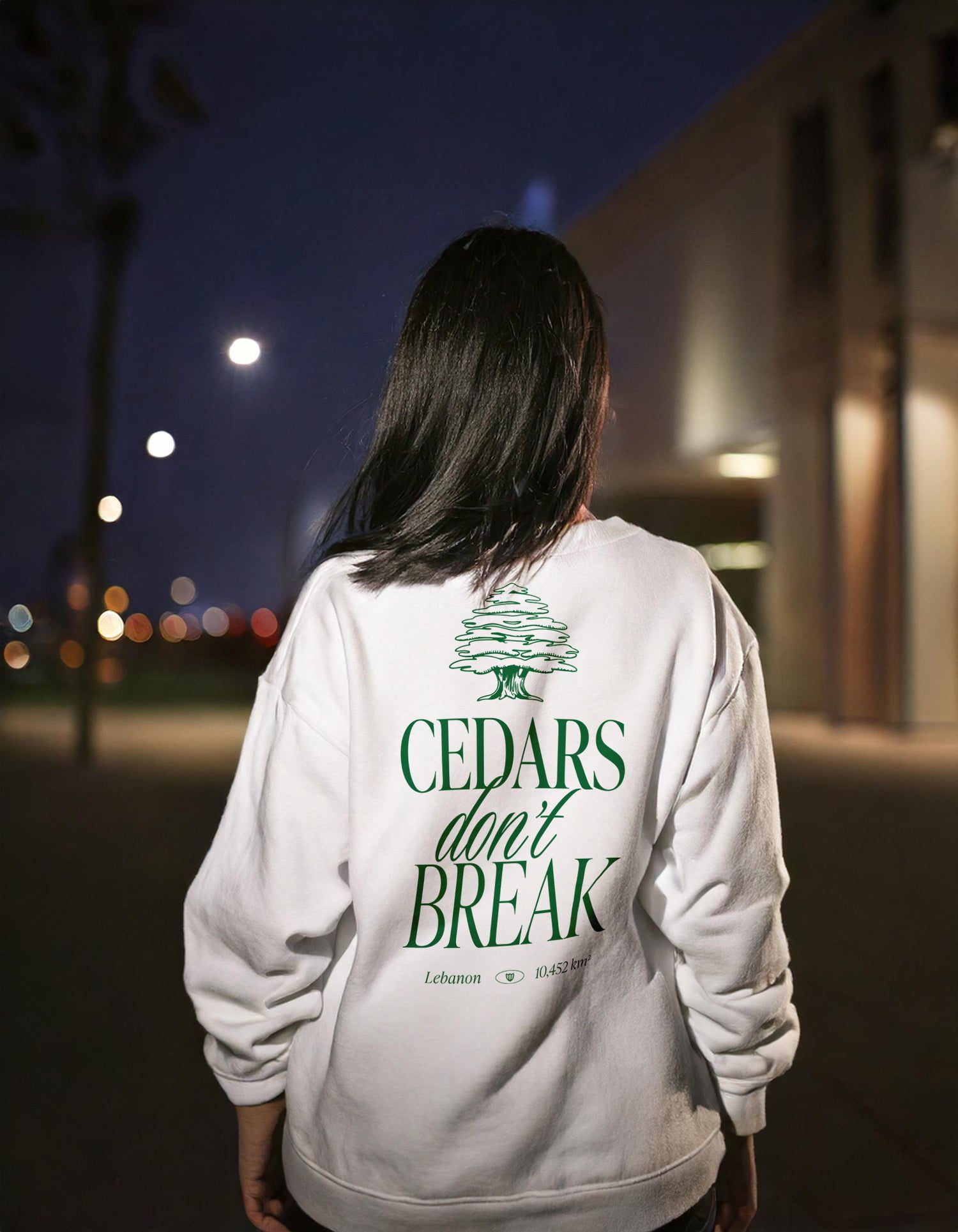 streetwear t-shirt Lebanon, Arab clothing, cedar trees, cedars don't break, support Lebanon, Lebanese clothing , sweatshirt