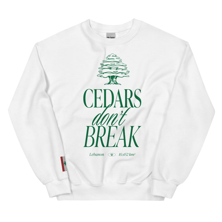 streetwear t-shirt Lebanon, Arab clothing, cedar trees, cedars don't break, support Lebanon, Lebanese clothing , sweatshirt